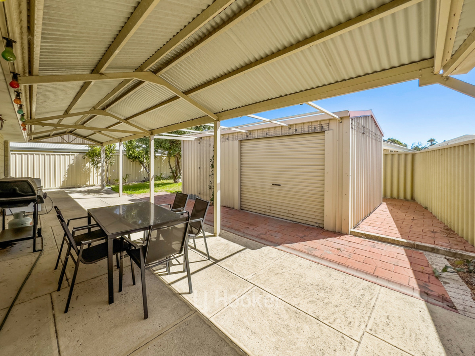 3 Euro Brace, Australind