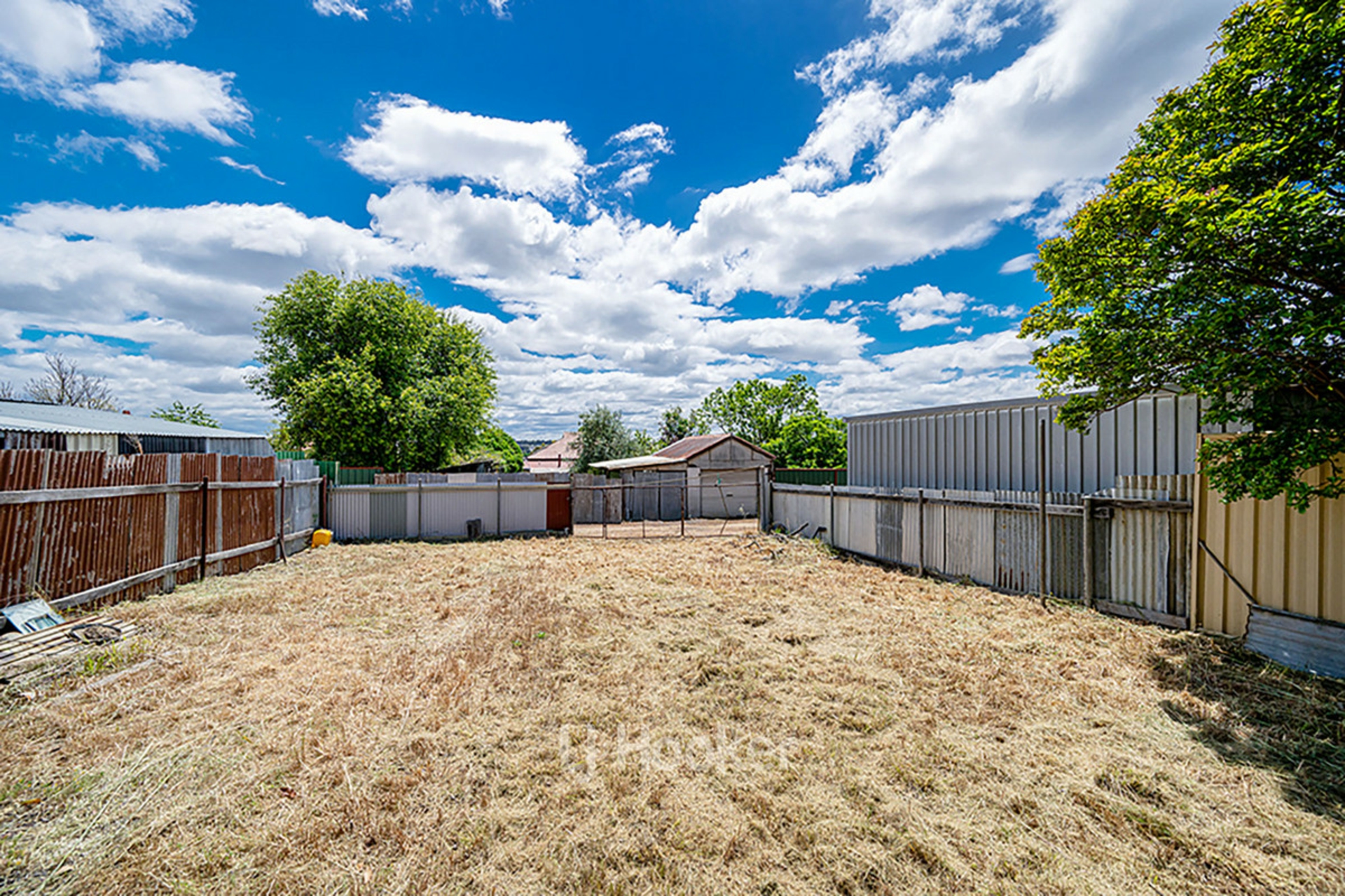 70 Venn Street West, Collie