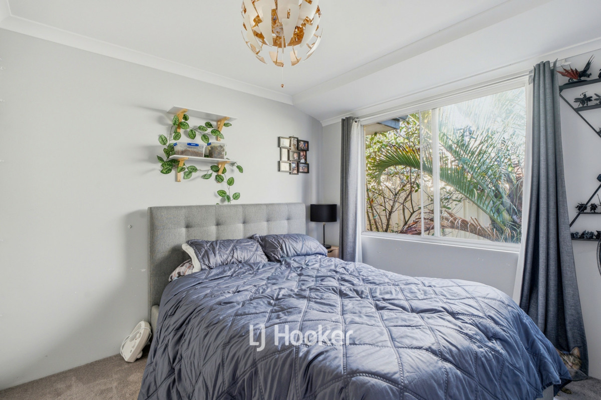 14 Tweed Street — photo 9 of 20