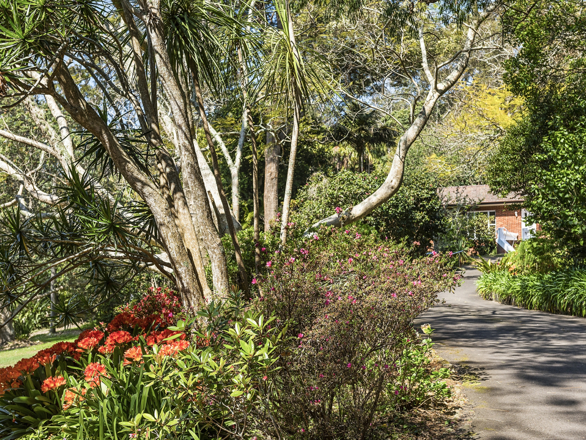 31 Ruskin Rowe, AVALON BEACH