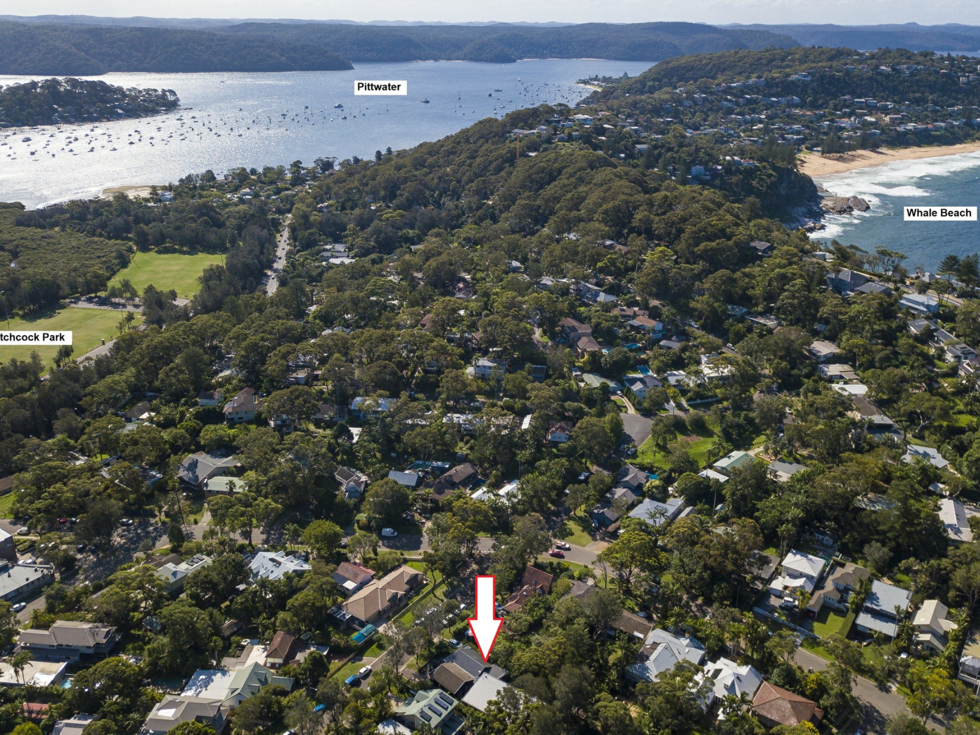 43 Albert Road, AVALON BEACH