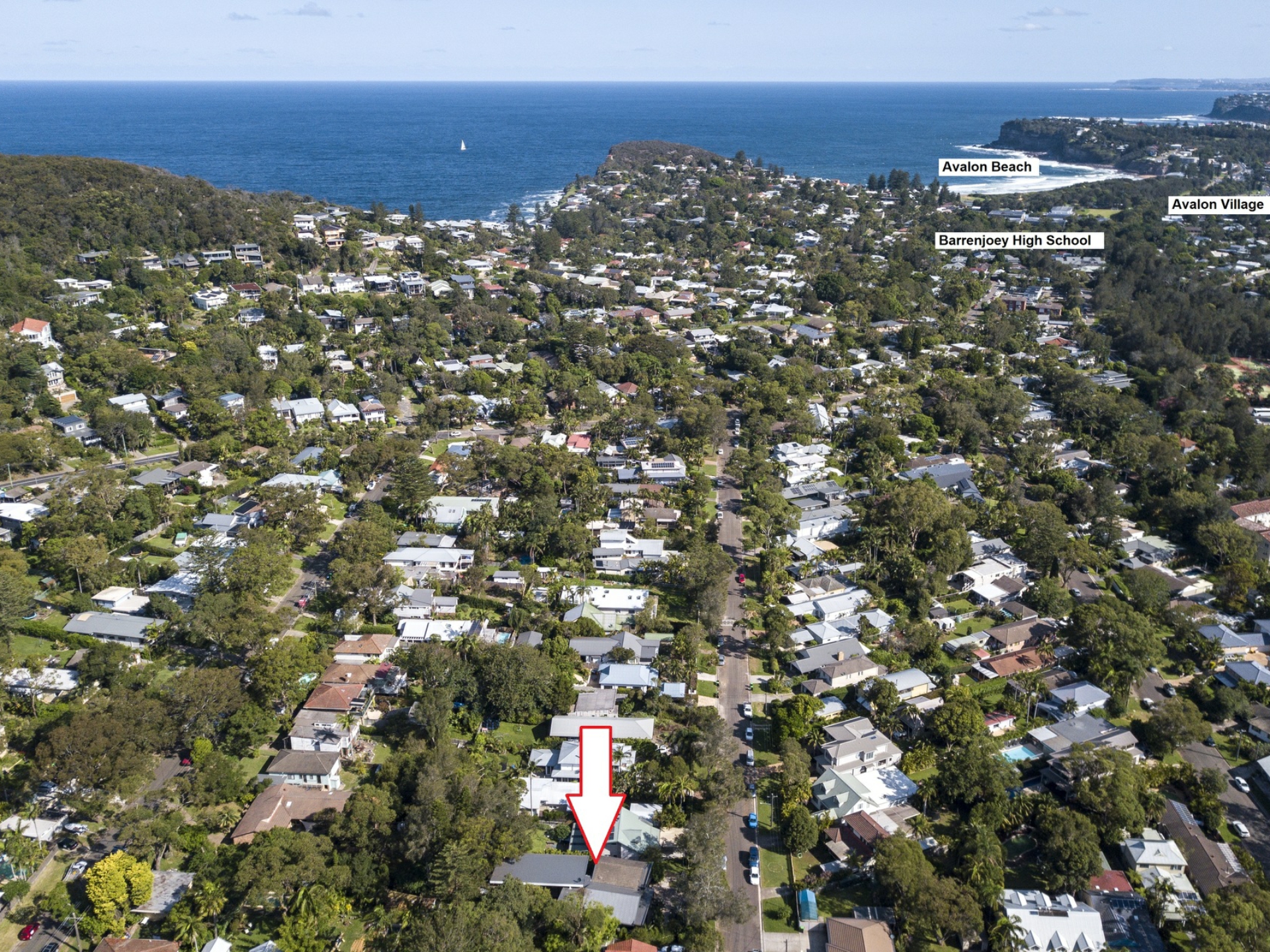 43 Albert Road, AVALON BEACH