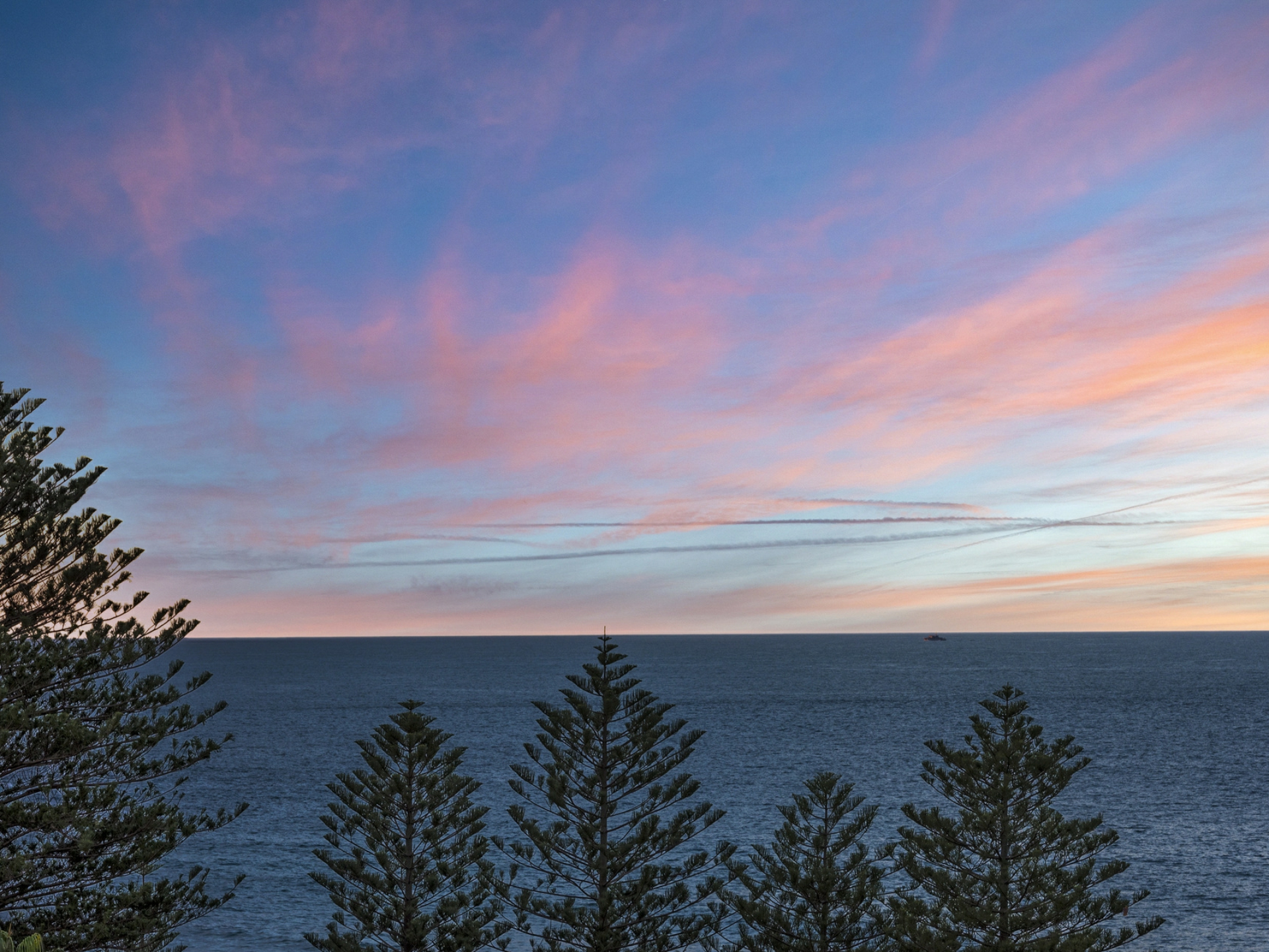 176 Whale Beach Road, WHALE BEACH