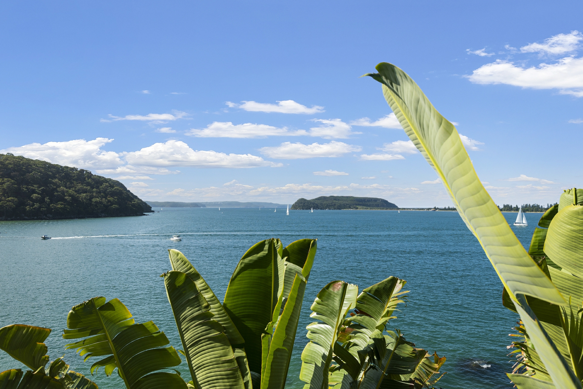 27 Ross Smith Parade Great Mackerel Beach NSW Property Details LJ Hooker