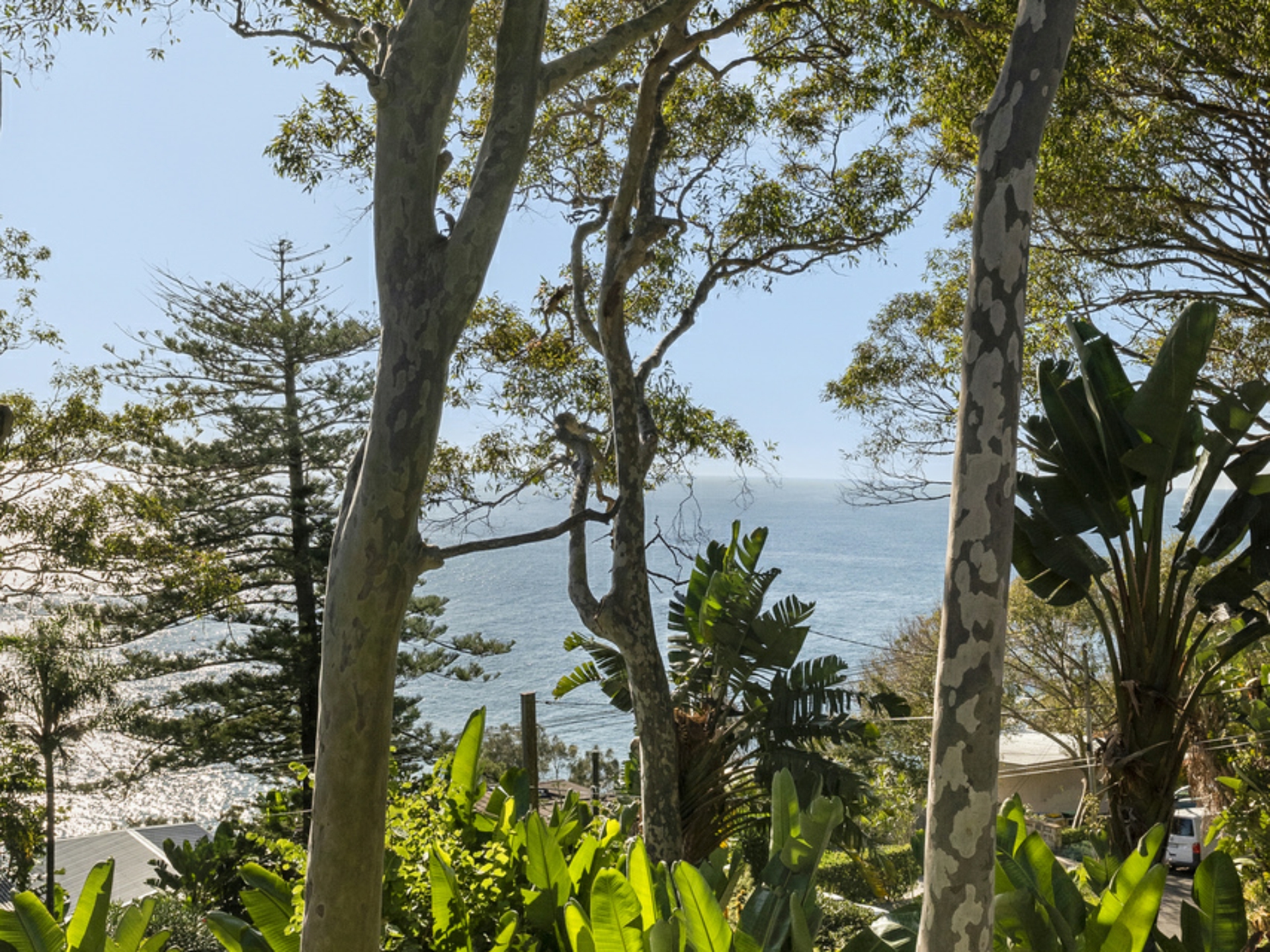108 Whale Beach Road, WHALE BEACH