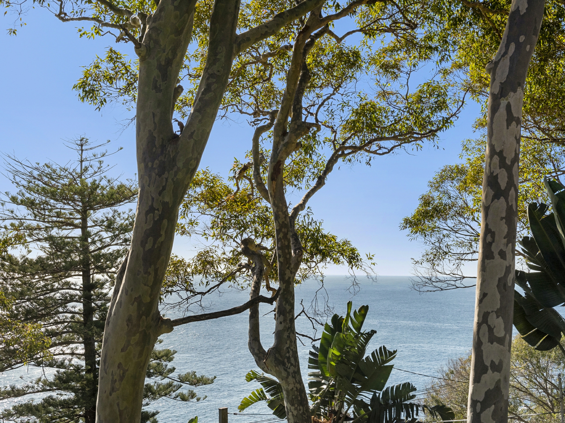 108 Whale Beach Road, WHALE BEACH
