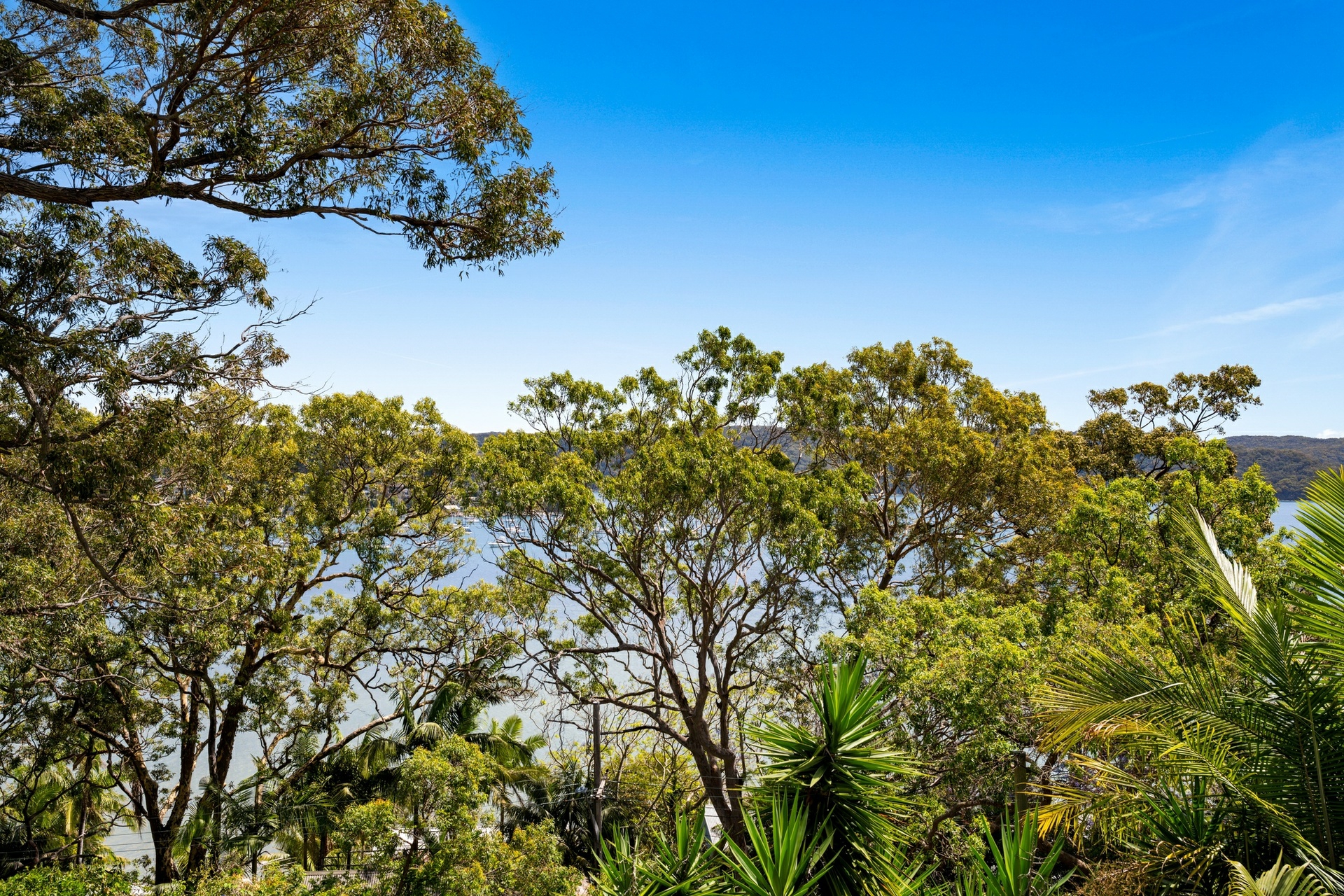 842 Barrenjoey Road, PALM BEACH