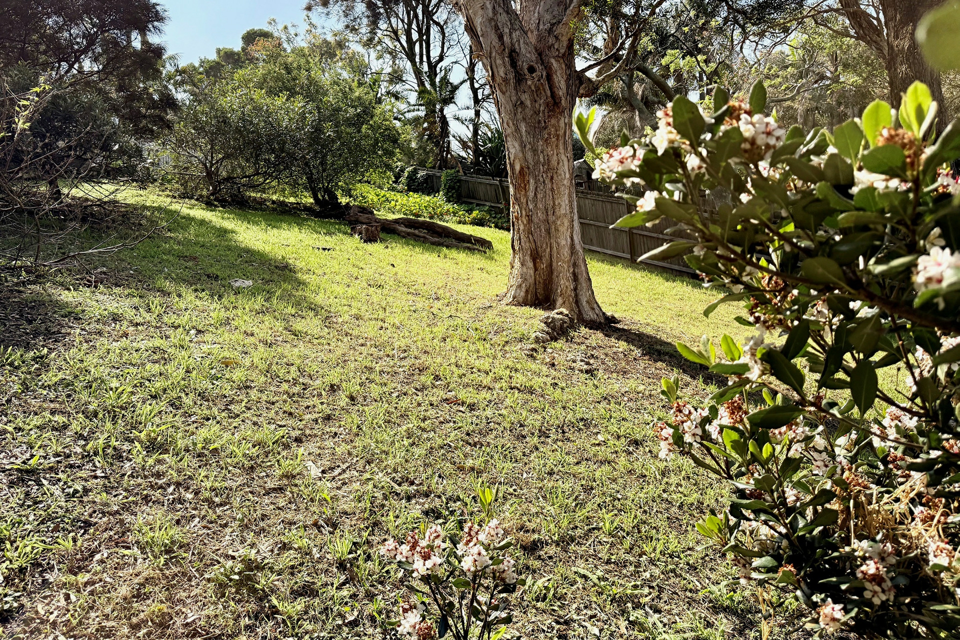 129 Whale Beach Road — photo 15 of 18