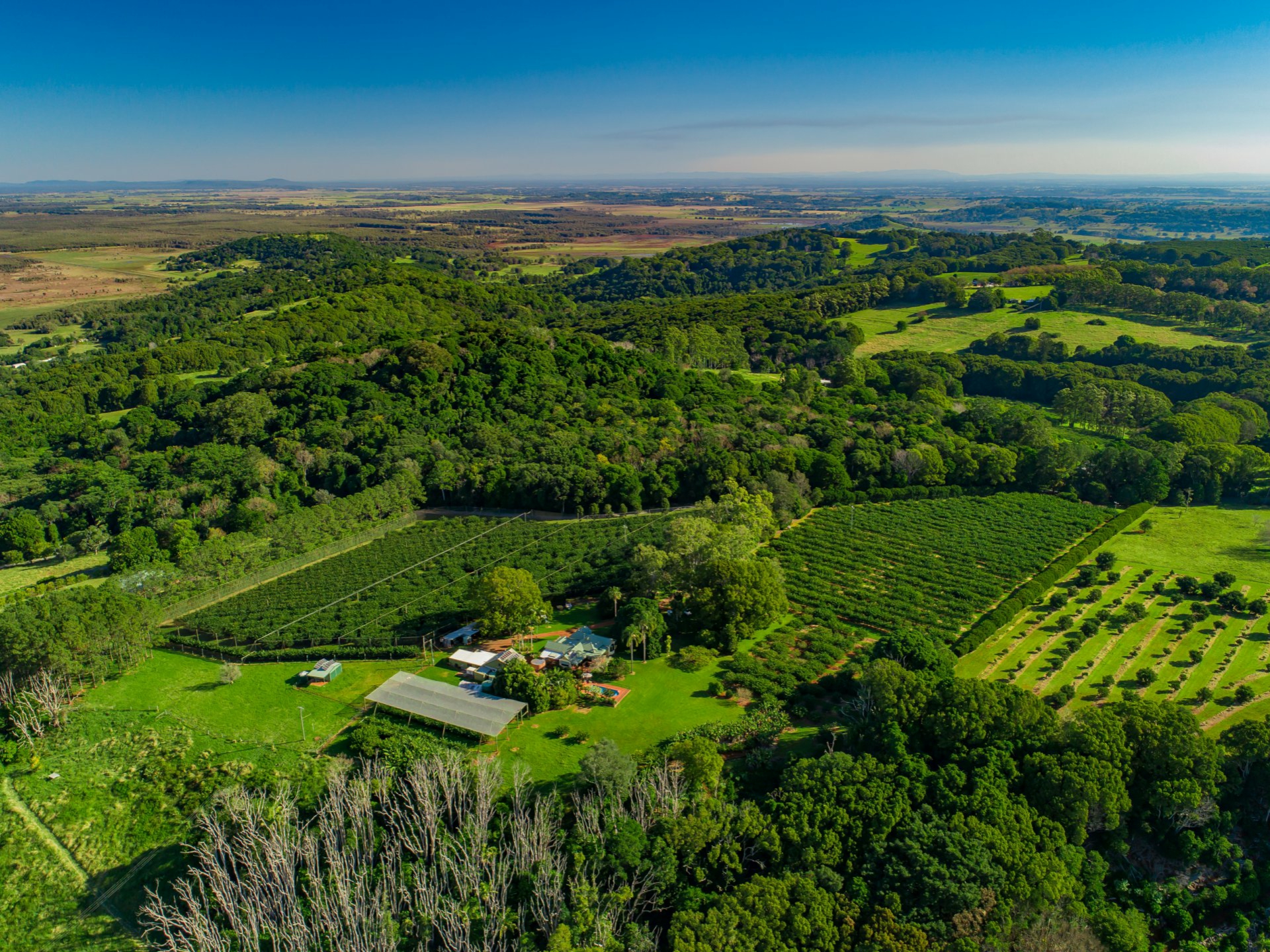 145 Victoria Park Road, DALWOOD
