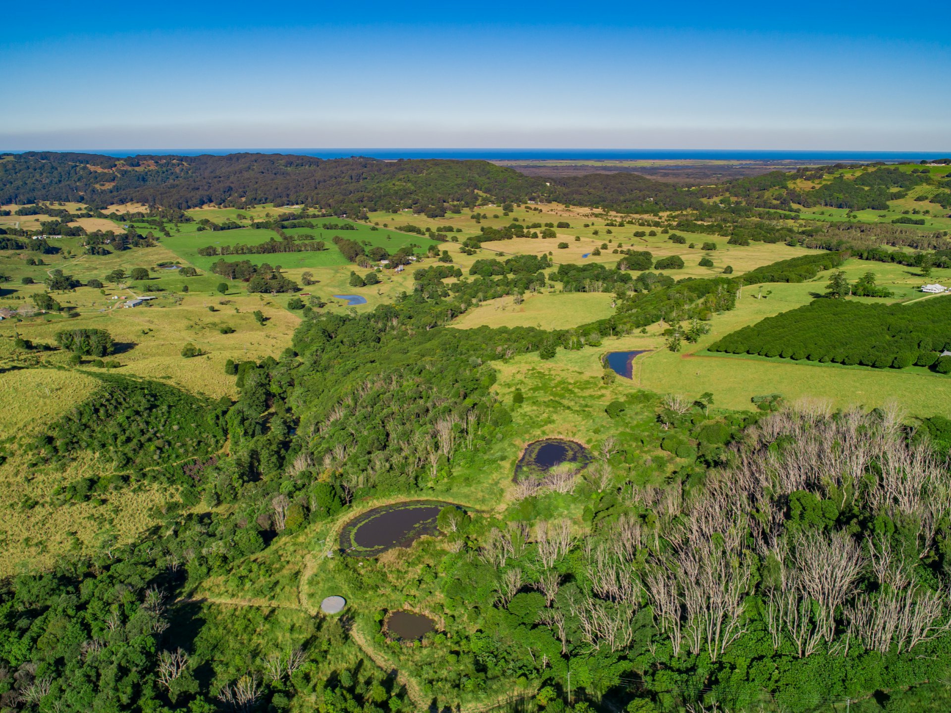 145 Victoria Park Road, DALWOOD
