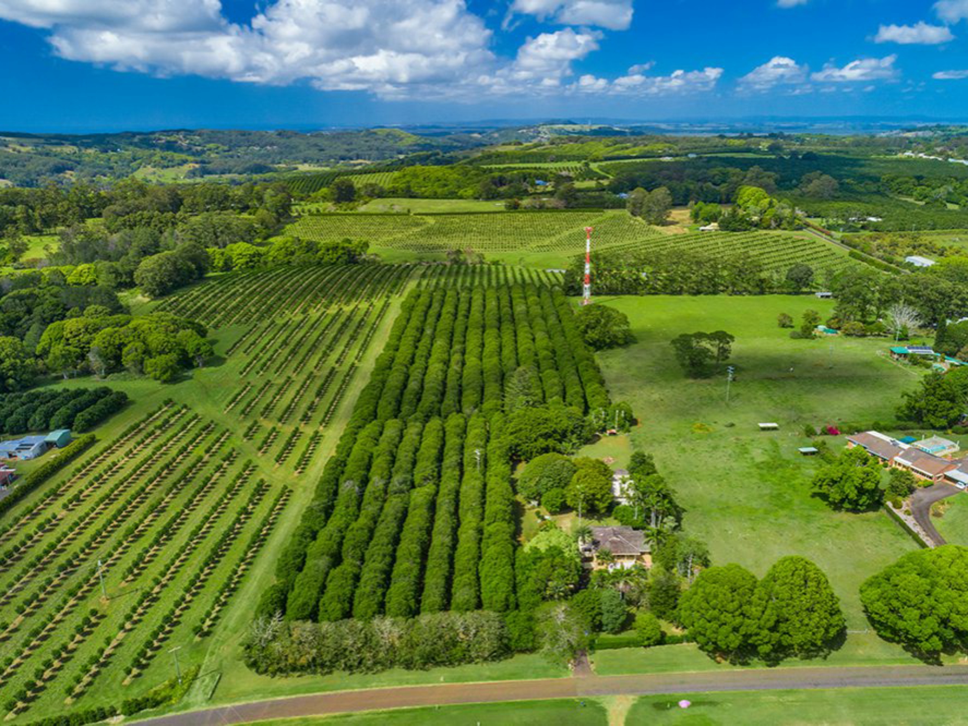 633 Uralba Road, Lynwood
