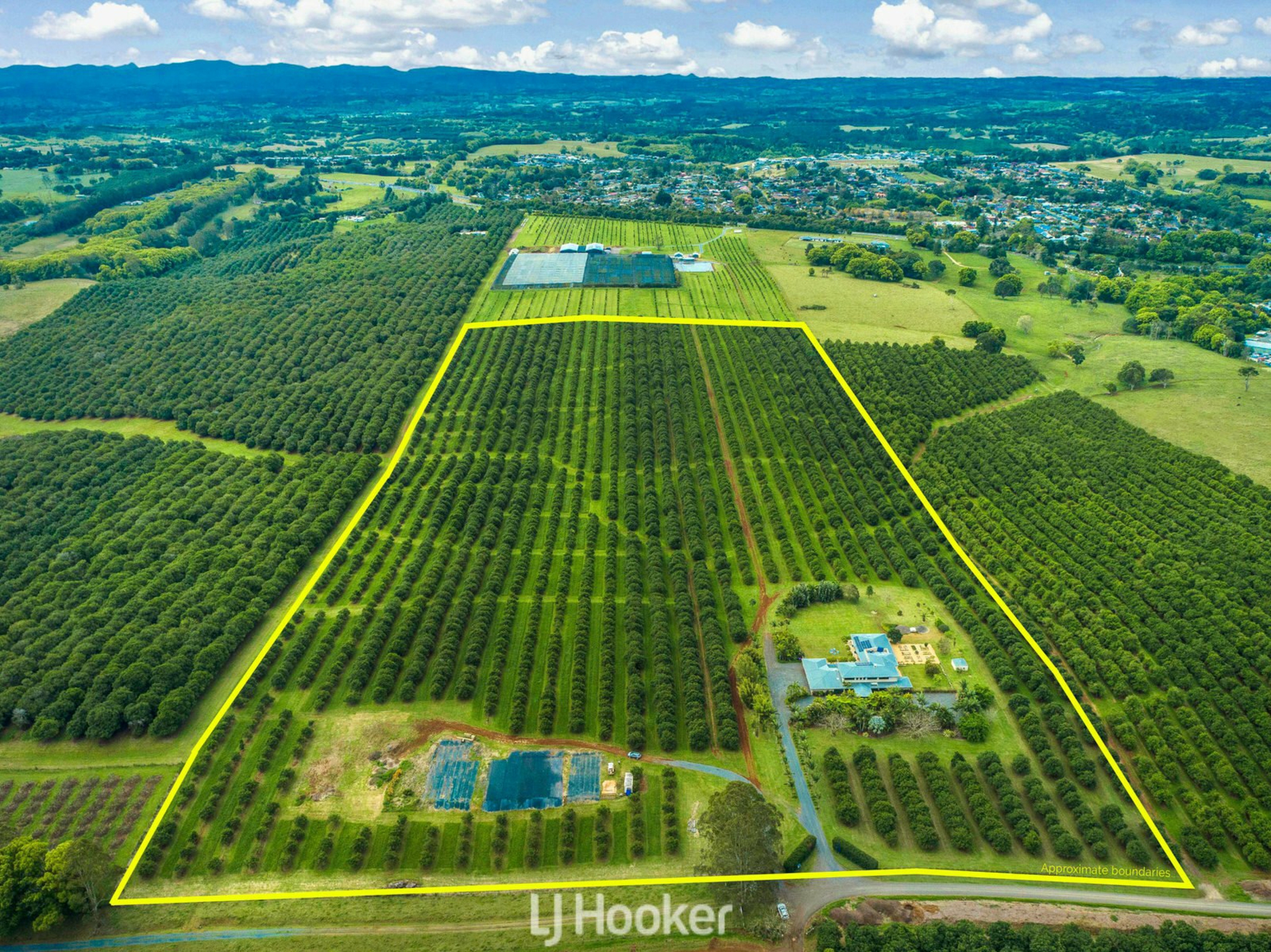 104 Norman Jones Lane Wollongbar NSW AcreageSemirural for Sale LJ