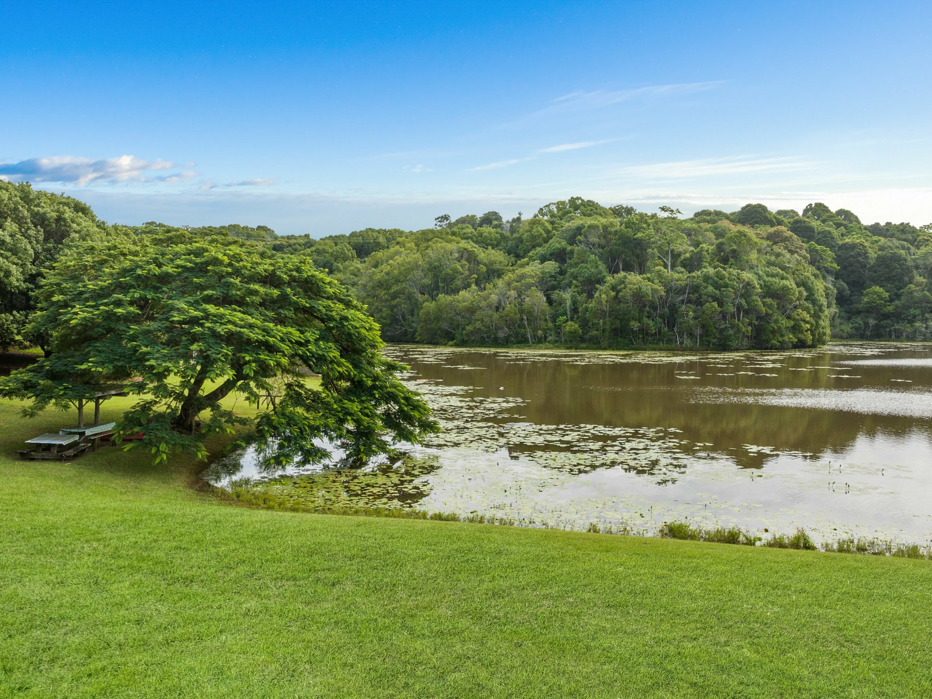 596 Pearces Creek Road, ALSTONVALE