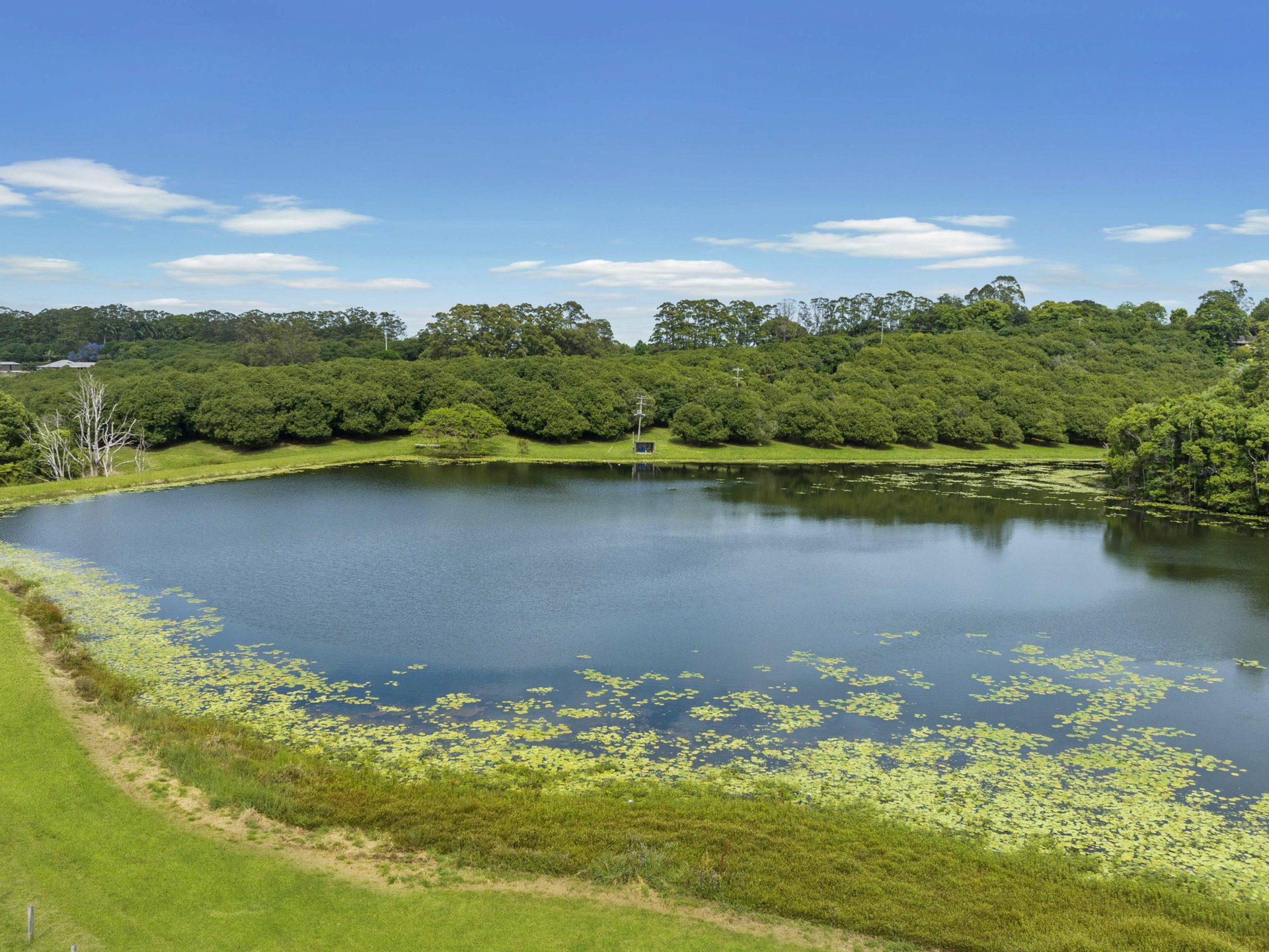 596 Pearces Creek Road, ALSTONVALE