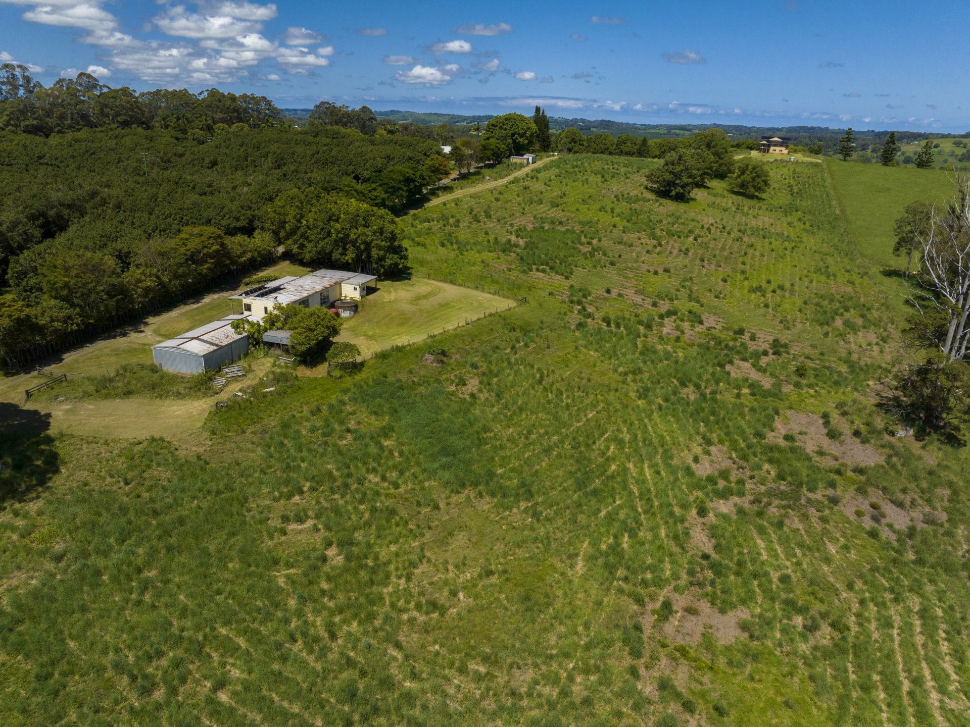 Mcleans Ridges NSW AcreageSemirural for Sale LJ Hooker