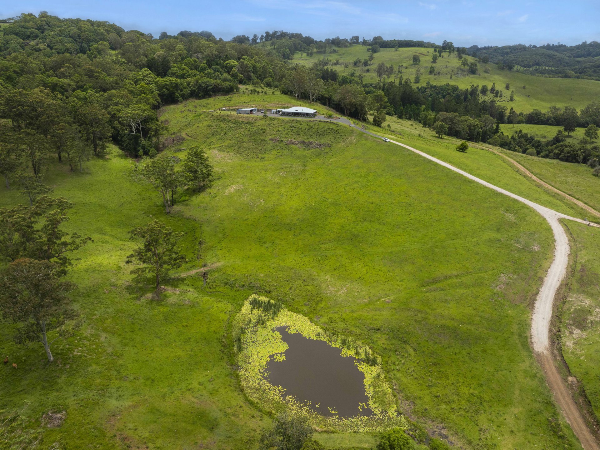 219 Henson Road, WYRALLAH