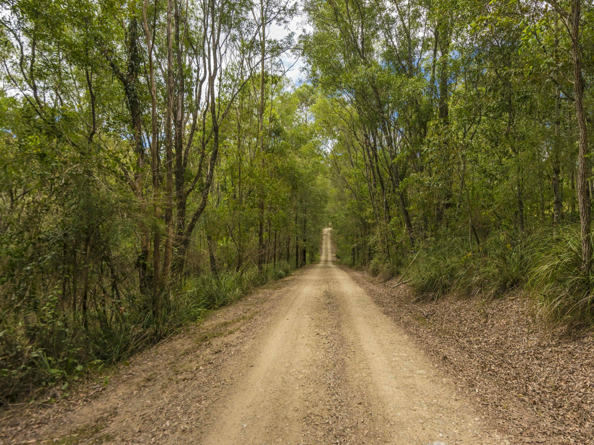 135 Gahans Road, BAGOTVILLE