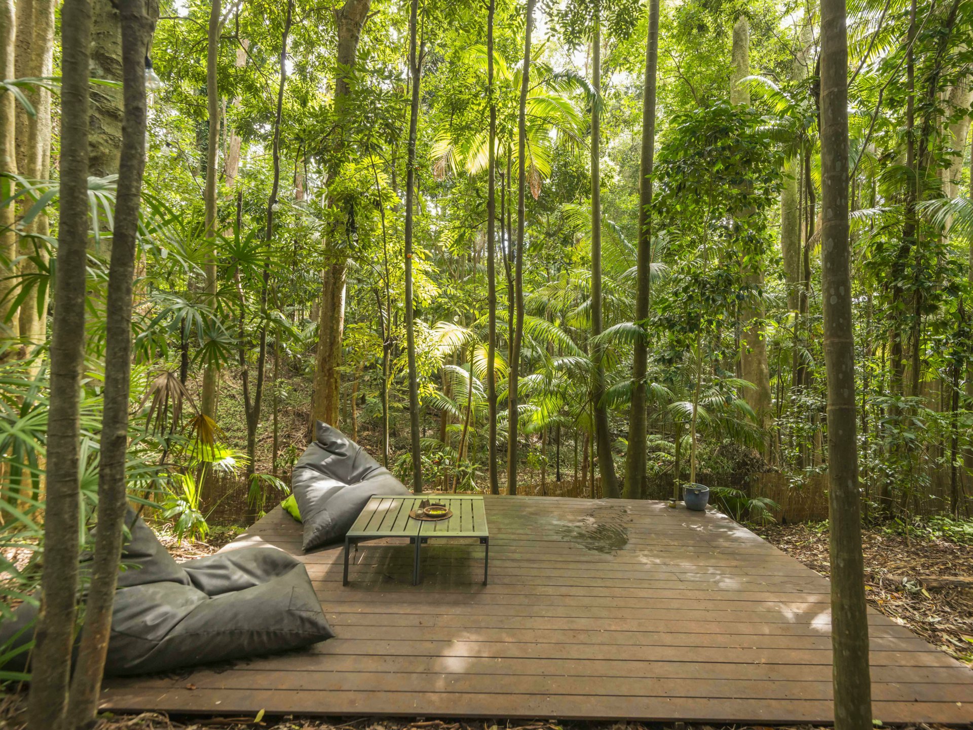 6 Coachwood Court, ALSTONVILLE