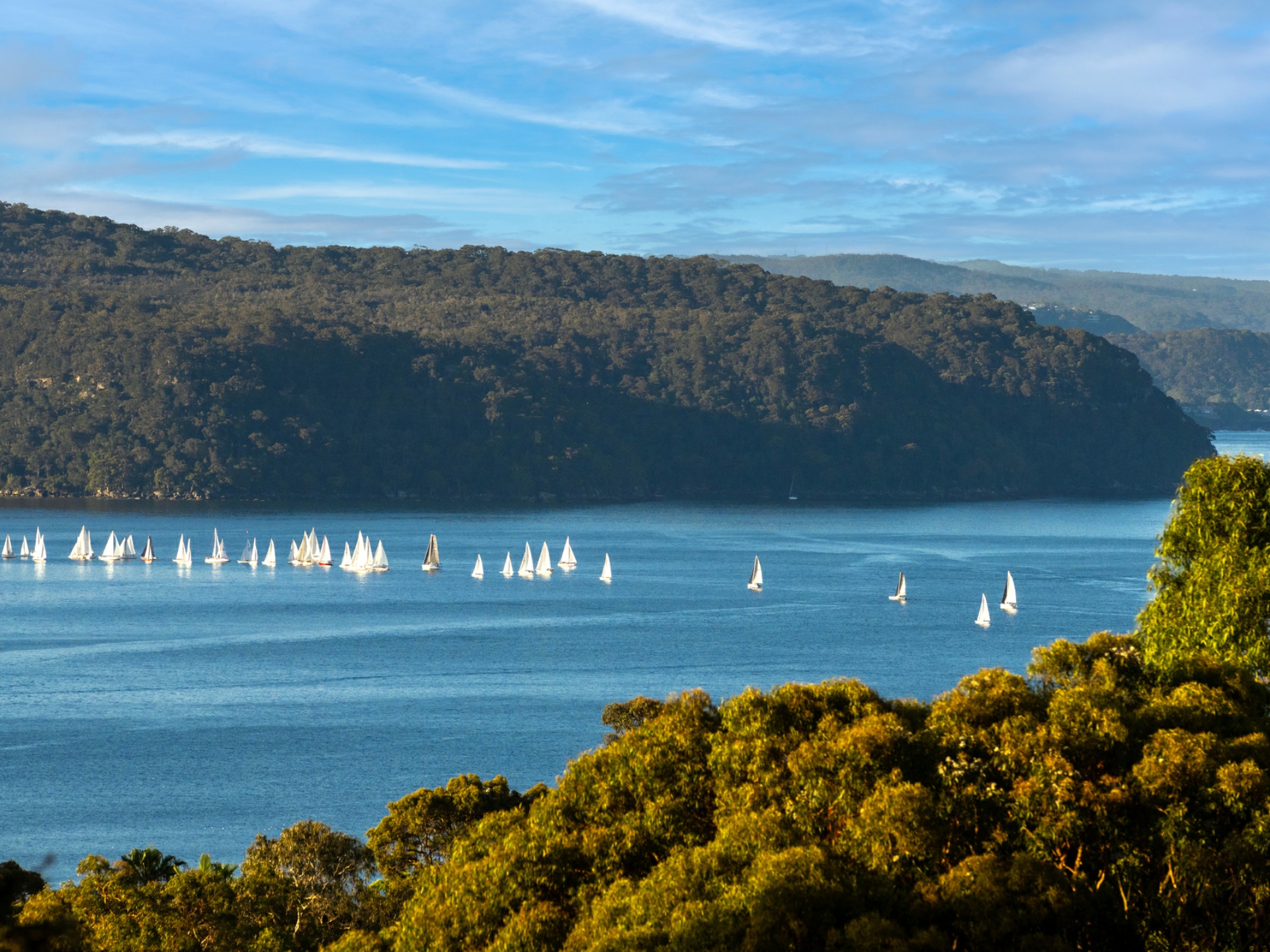 36 Loblay Crescent, BILGOLA PLATEAU