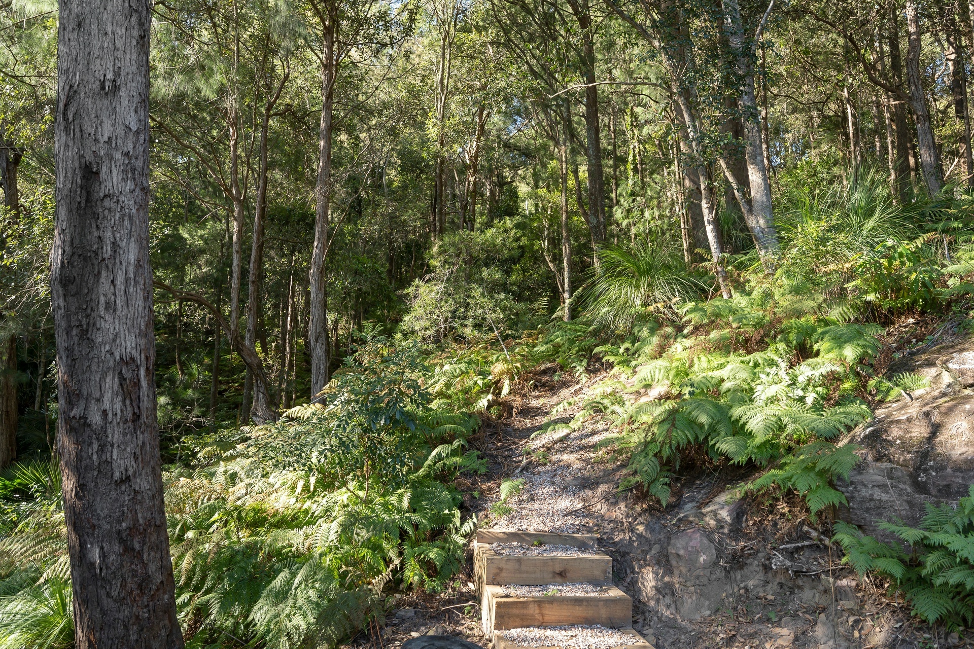 143 McCarrs Creek Road Church Point NSW