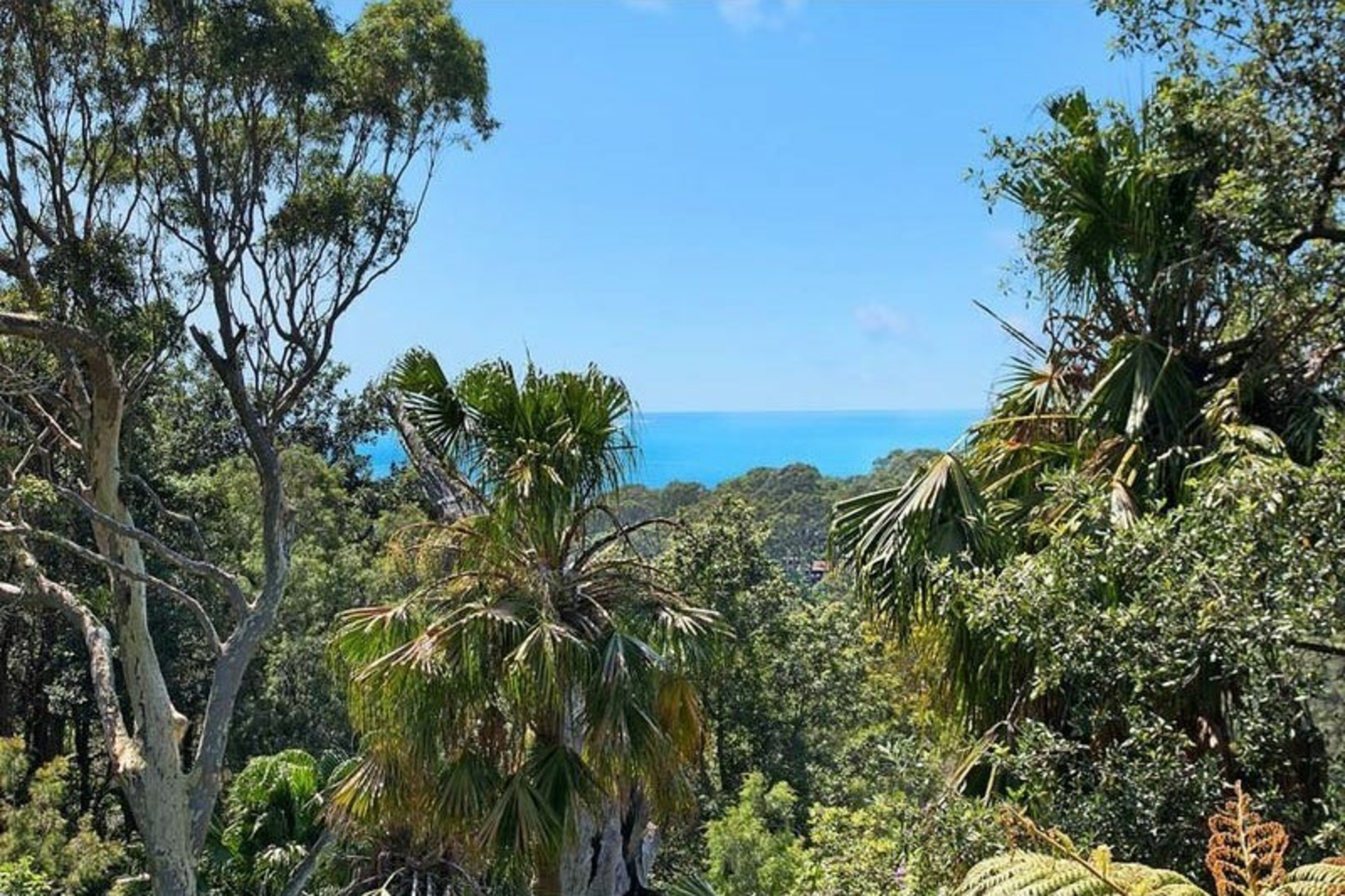Lower 53 Chisholm Avenue, AVALON BEACH