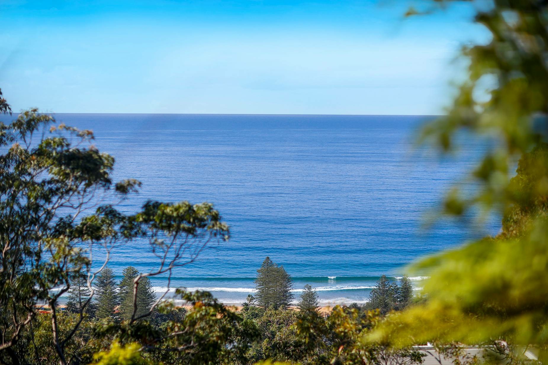10 The Outlook, Bilgola Plateau NSW - for Rent - LJ Hooker