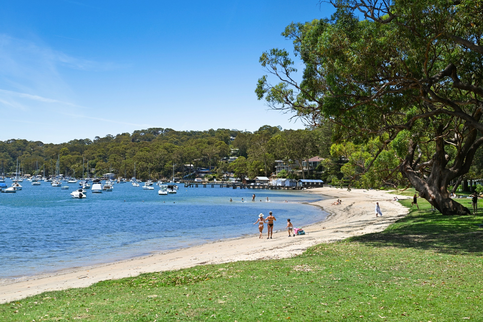 Flat 1/134 Hudson Parade, AVALON BEACH