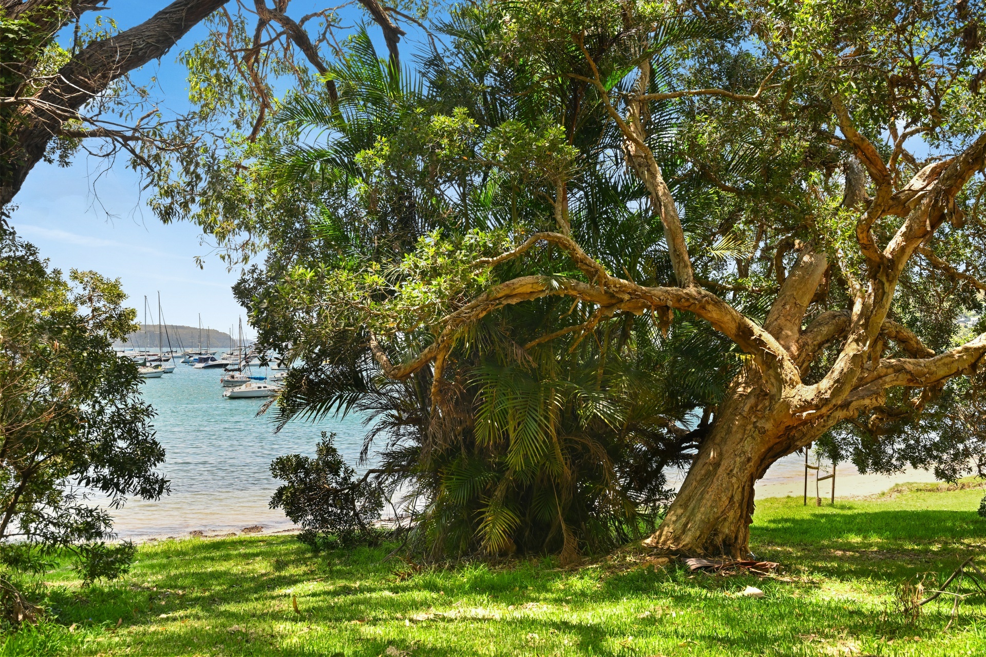 Flat 1/134 Hudson Parade, AVALON BEACH