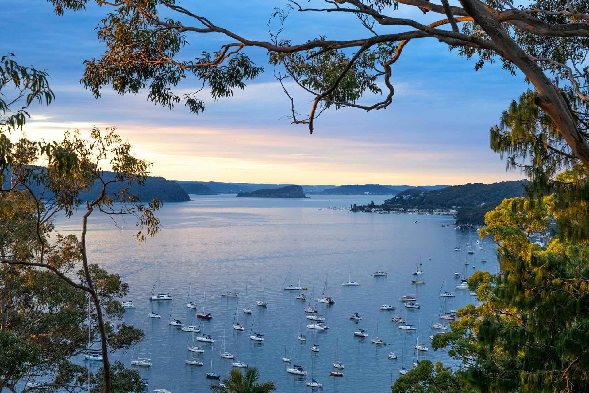 37 Wandeen Road, AVALON BEACH