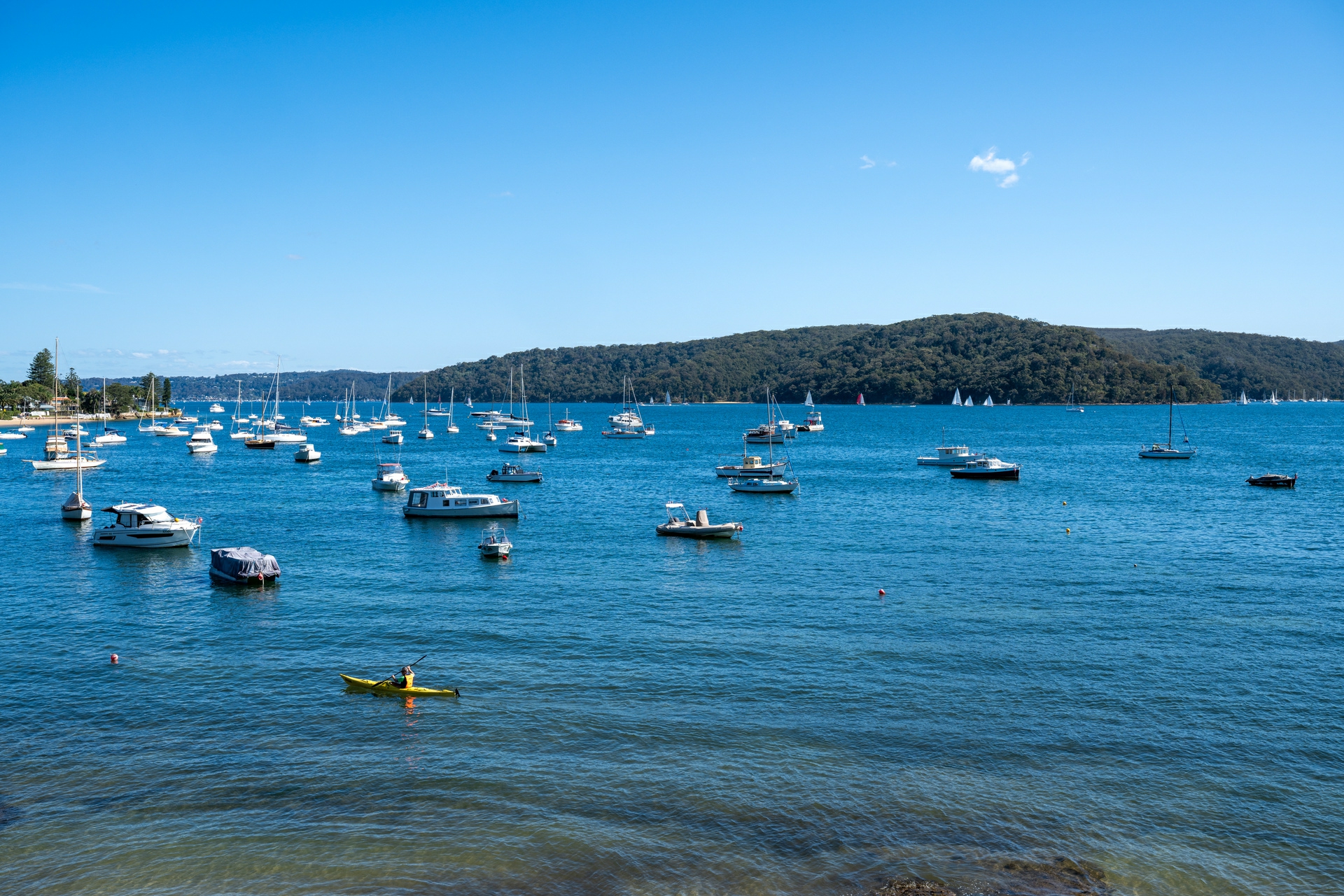 1163 Barrenjoey Road, Palm Beach