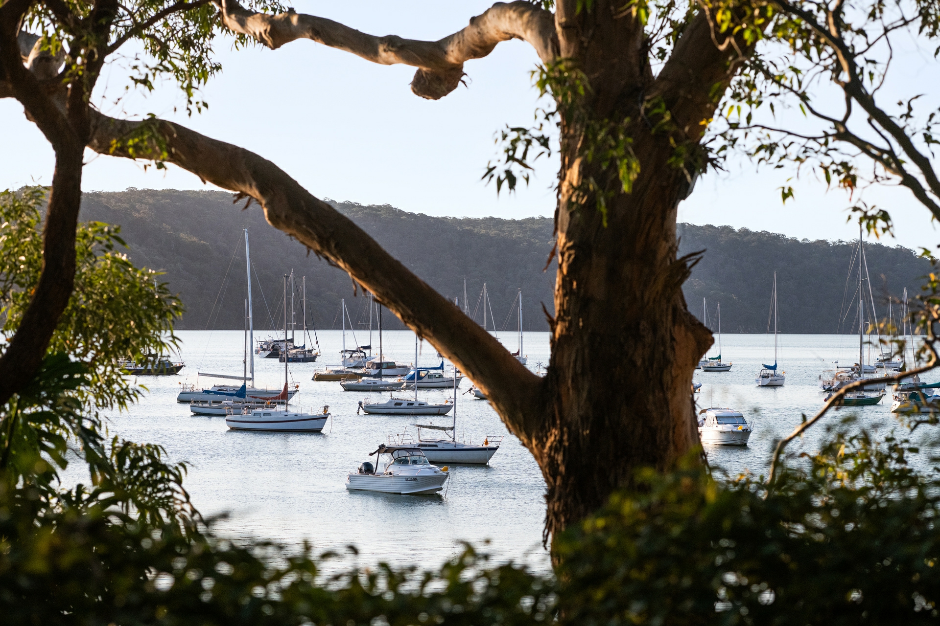 52 Hudson Parade, Clareville