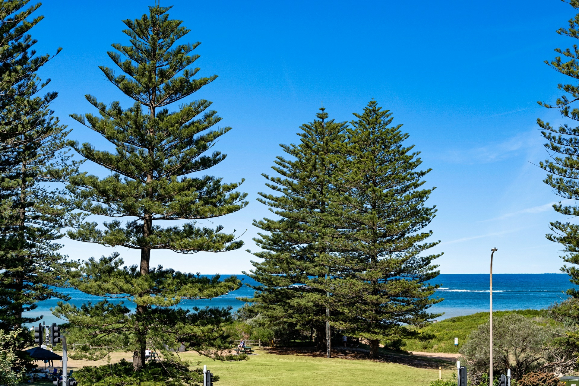 10/57-59 Foamcrest Avenue — photo from LJ Hooker Avalon Beach