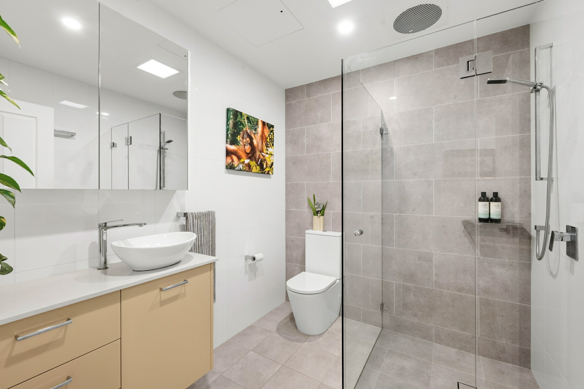 8/63-65 Central Road — photo 12 of 13