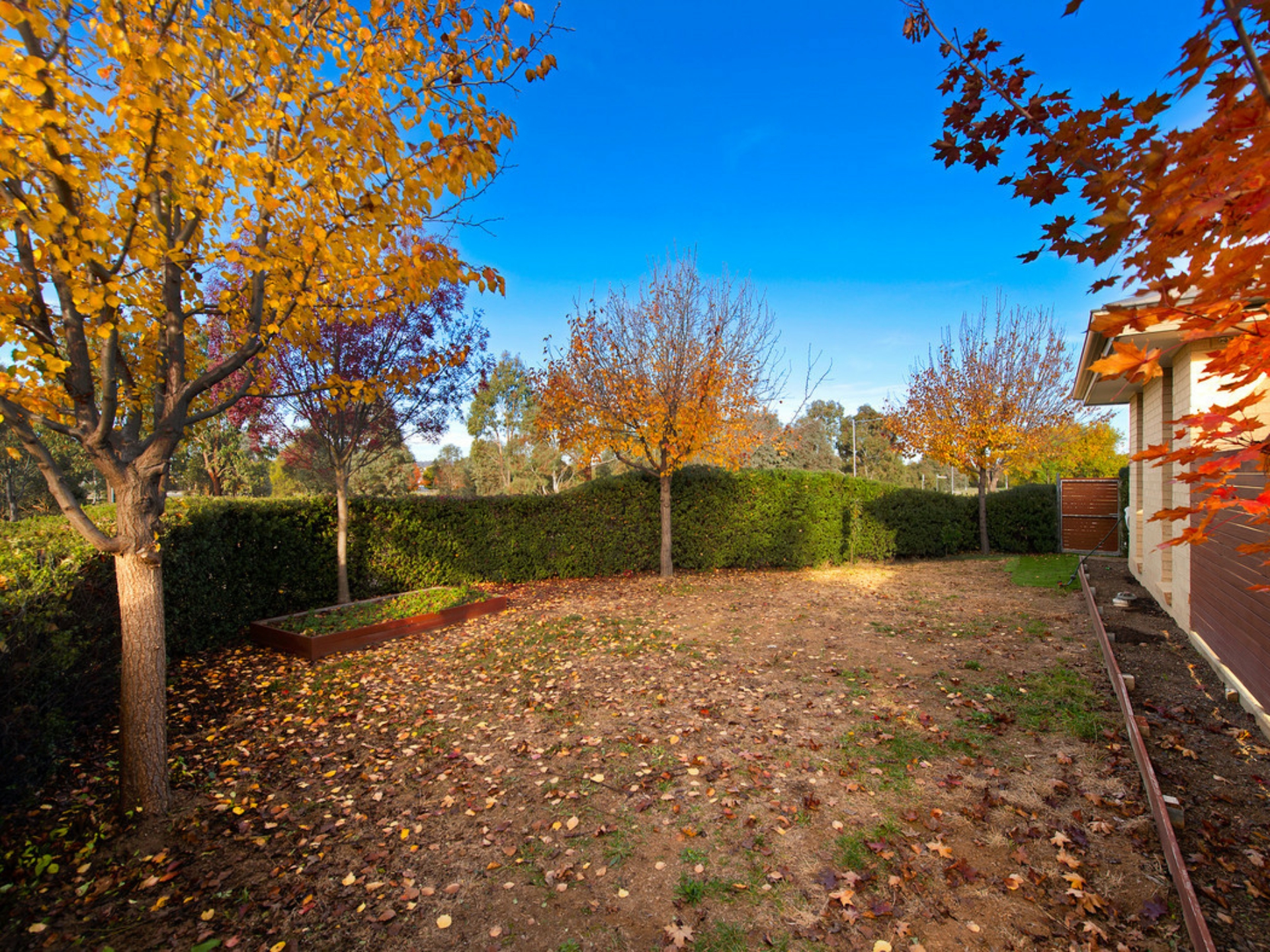 64 Alec Hope Crescent, FRANKLIN