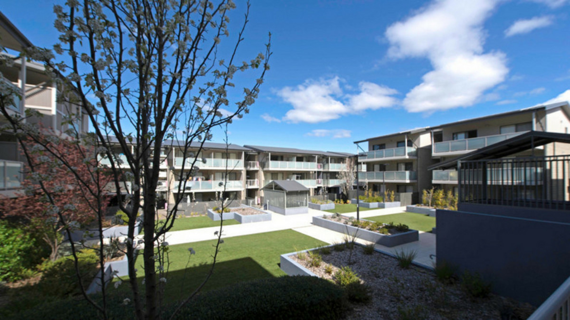 46/126 Thynne, BRUCE