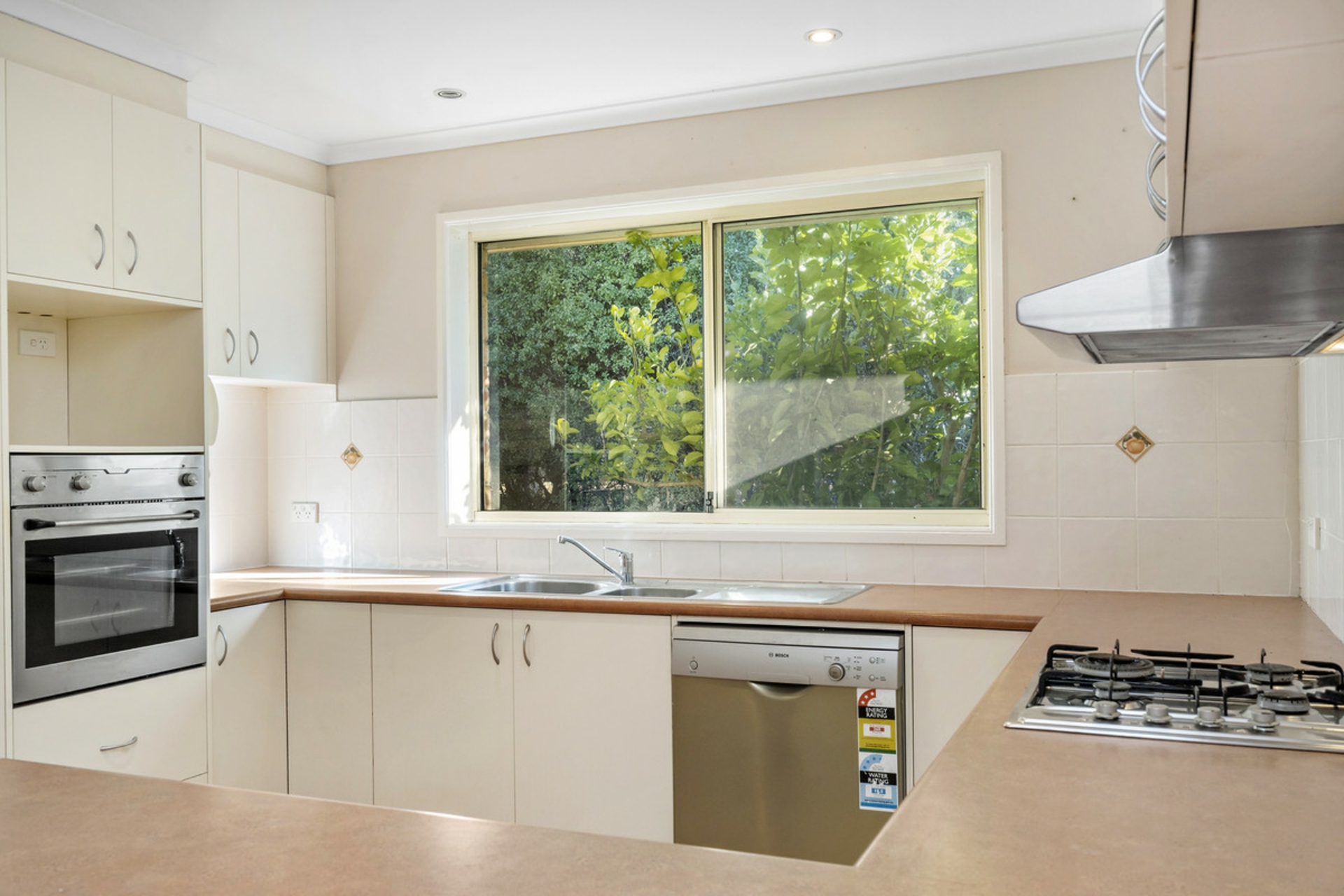 26 Bondfield Street — photo 11 of 19