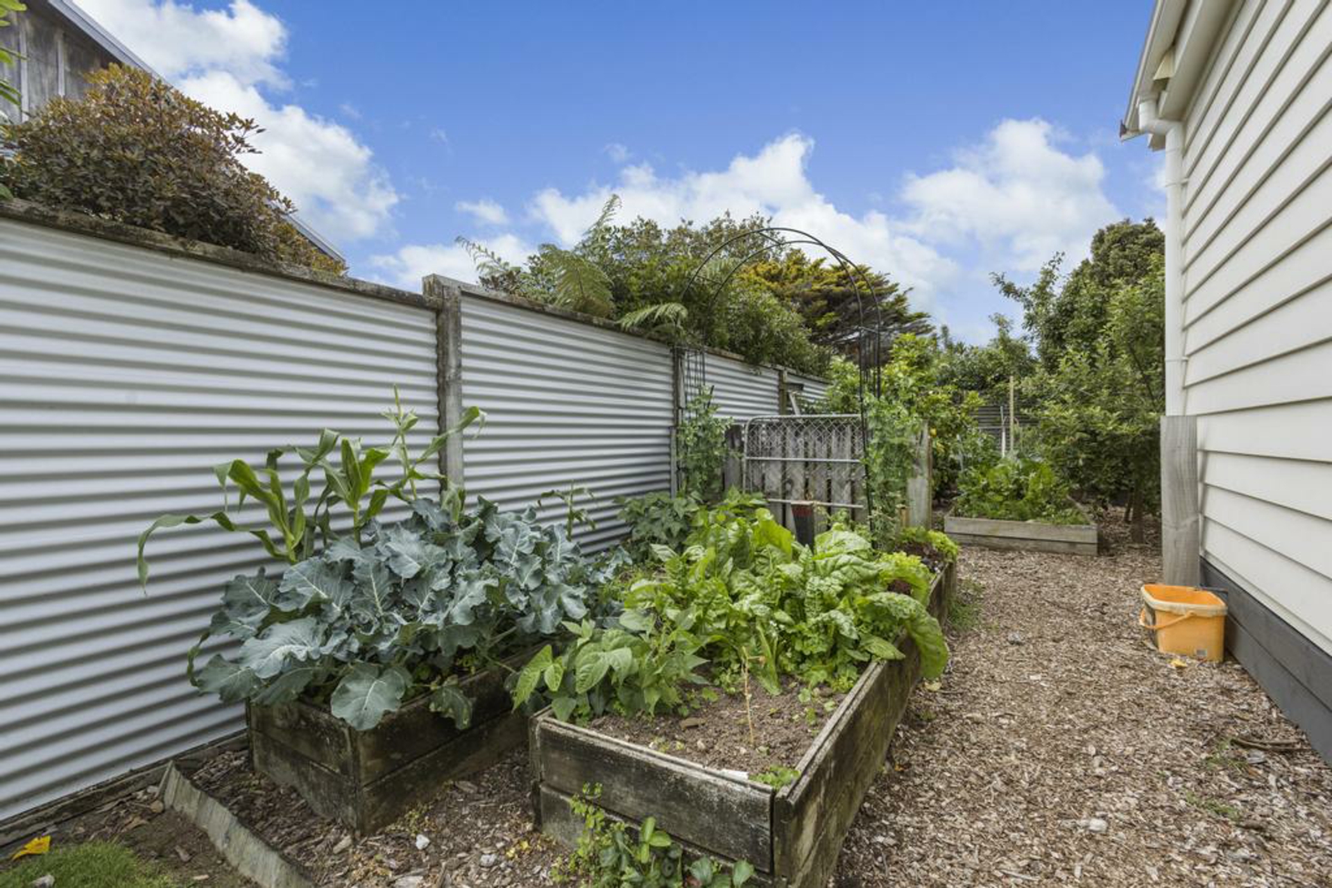 62 Southey Street Cambridge House for Sale LJ Hooker