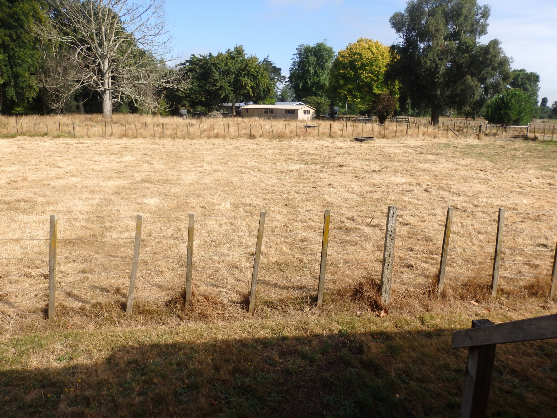 Newstead, 3284