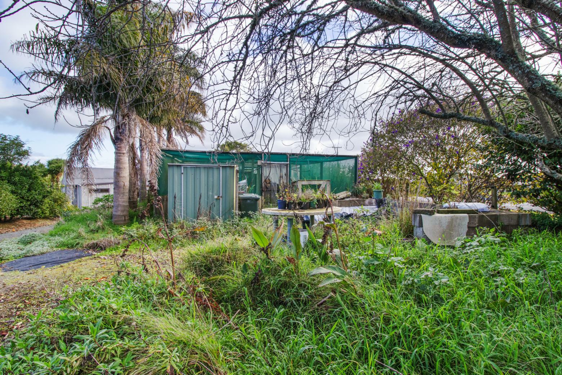 12 Tirohanga Road, CAMBRIDGE