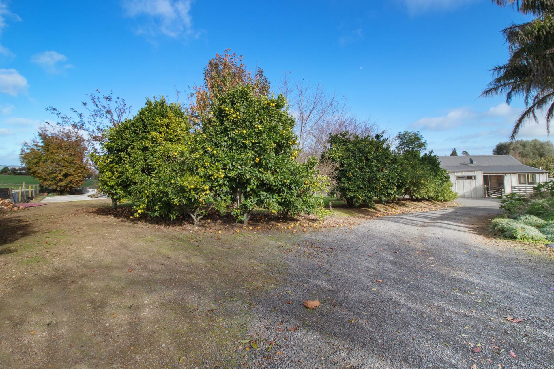 12 Tirohanga Road, CAMBRIDGE