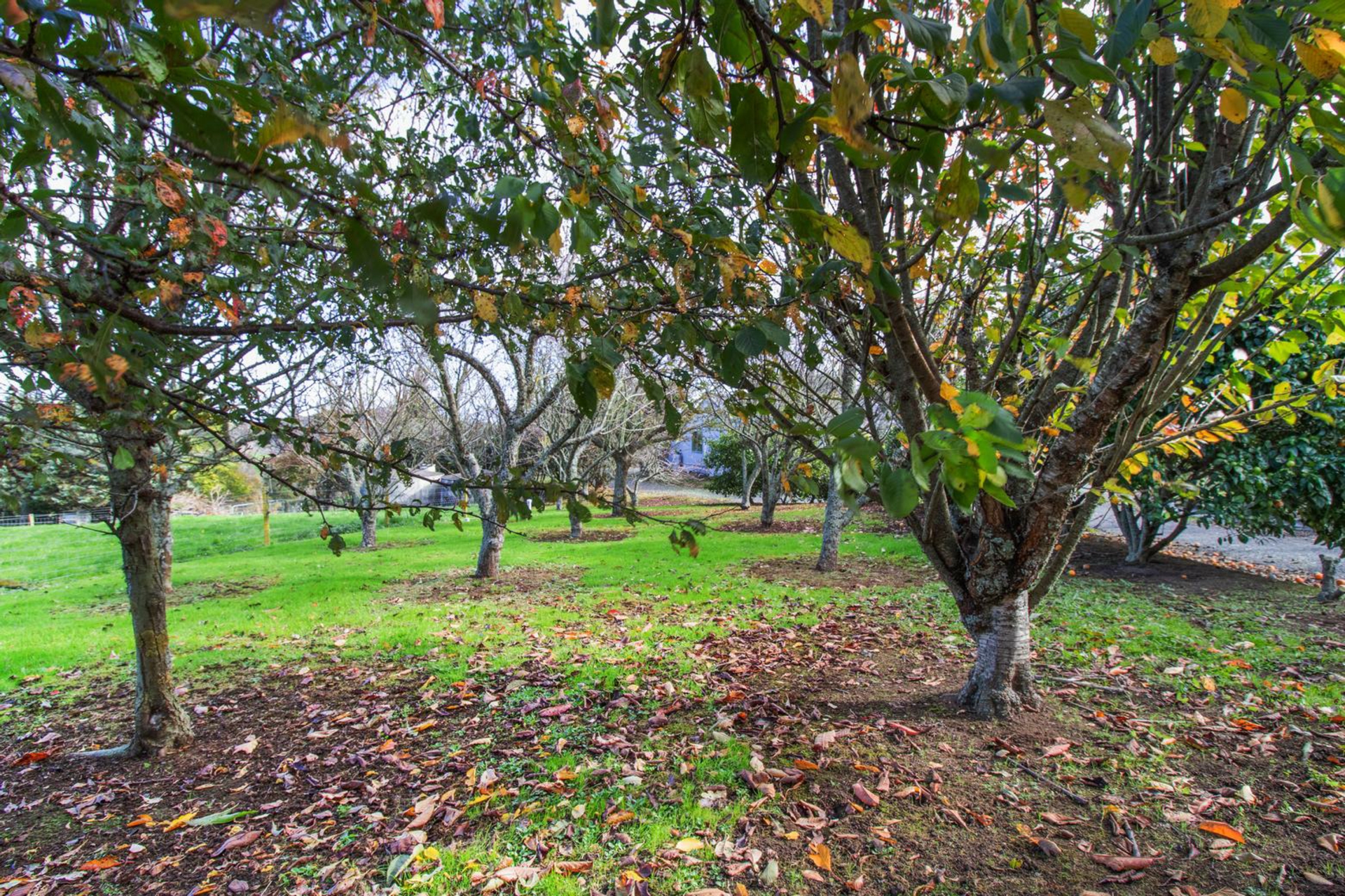 12 Tirohanga Road, CAMBRIDGE