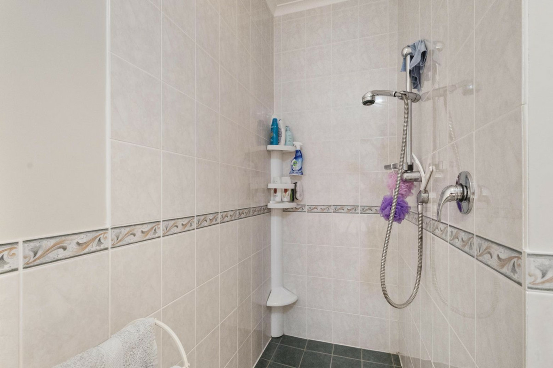 799 Pokuru Road R D 5 Te Awamutu Waikato Lifestyle for Sale LJ Hooker