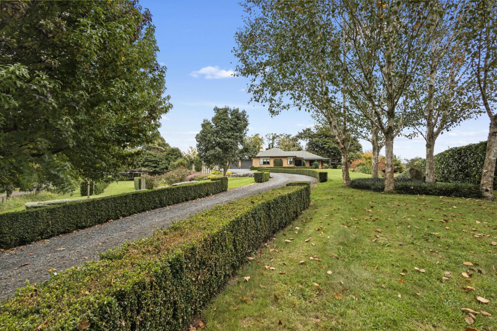 799 Pokuru Road R D 5 Te Awamutu Waikato Lifestyle for Sale LJ Hooker