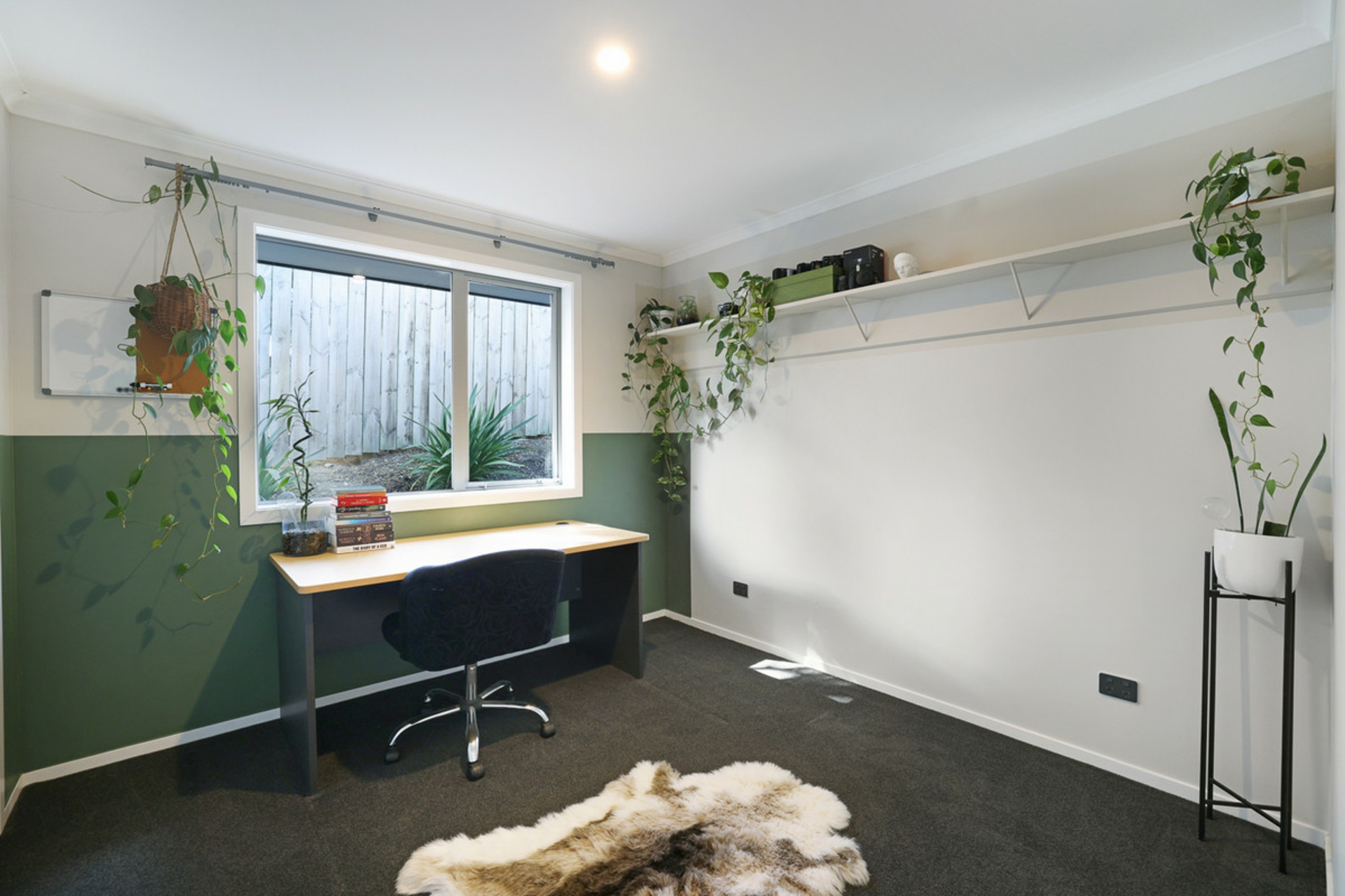 18C Carey Street Kihikihi Waikato House for Sale LJ Hooker