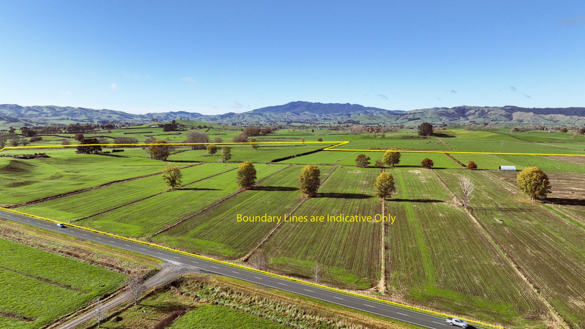 2882 Cambridge Road Te Awamutu Waikato Dairy for Sale LJ Hooker