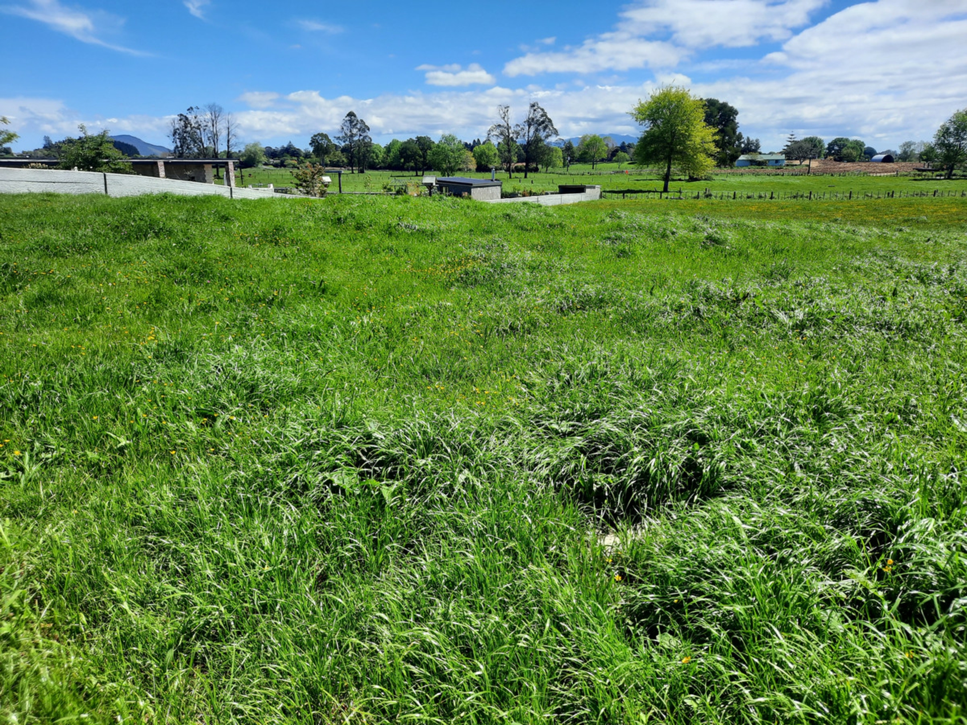 126 Flat Road Kihikihi Waikato Lifestyle for Sale LJ Hooker