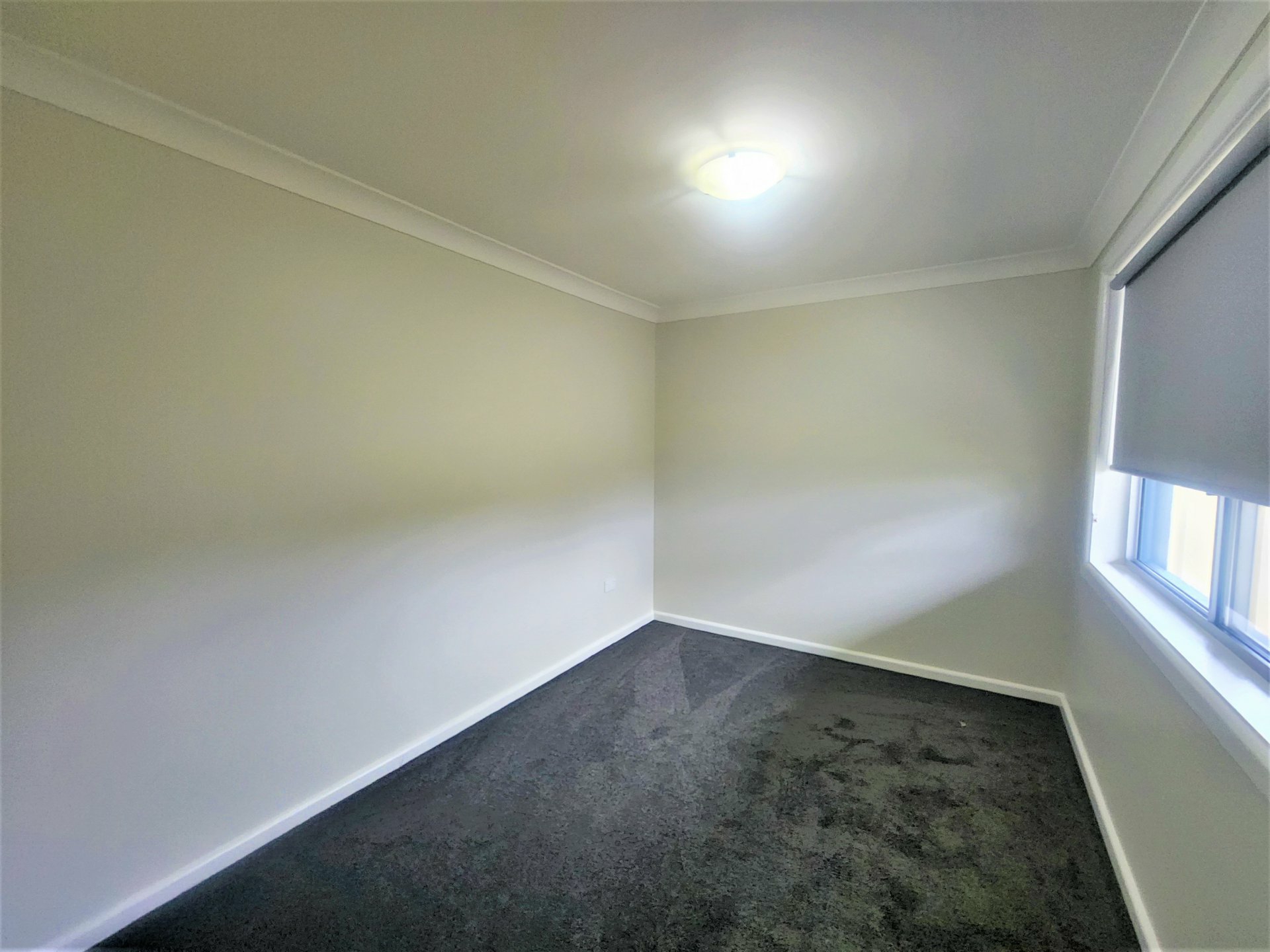 19 Tirriki Street — photo 11 of 14