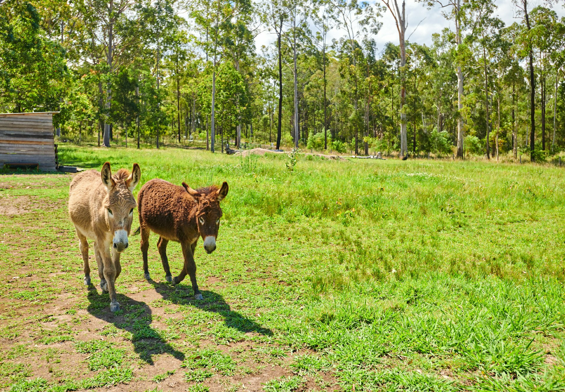 9 Wynters Road, BURRELL CREEK