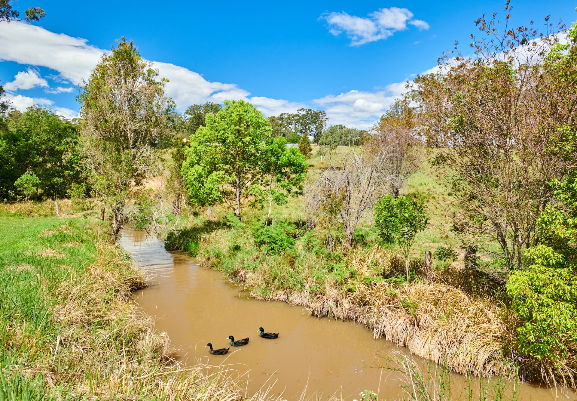 9 Wynters Road, BURRELL CREEK