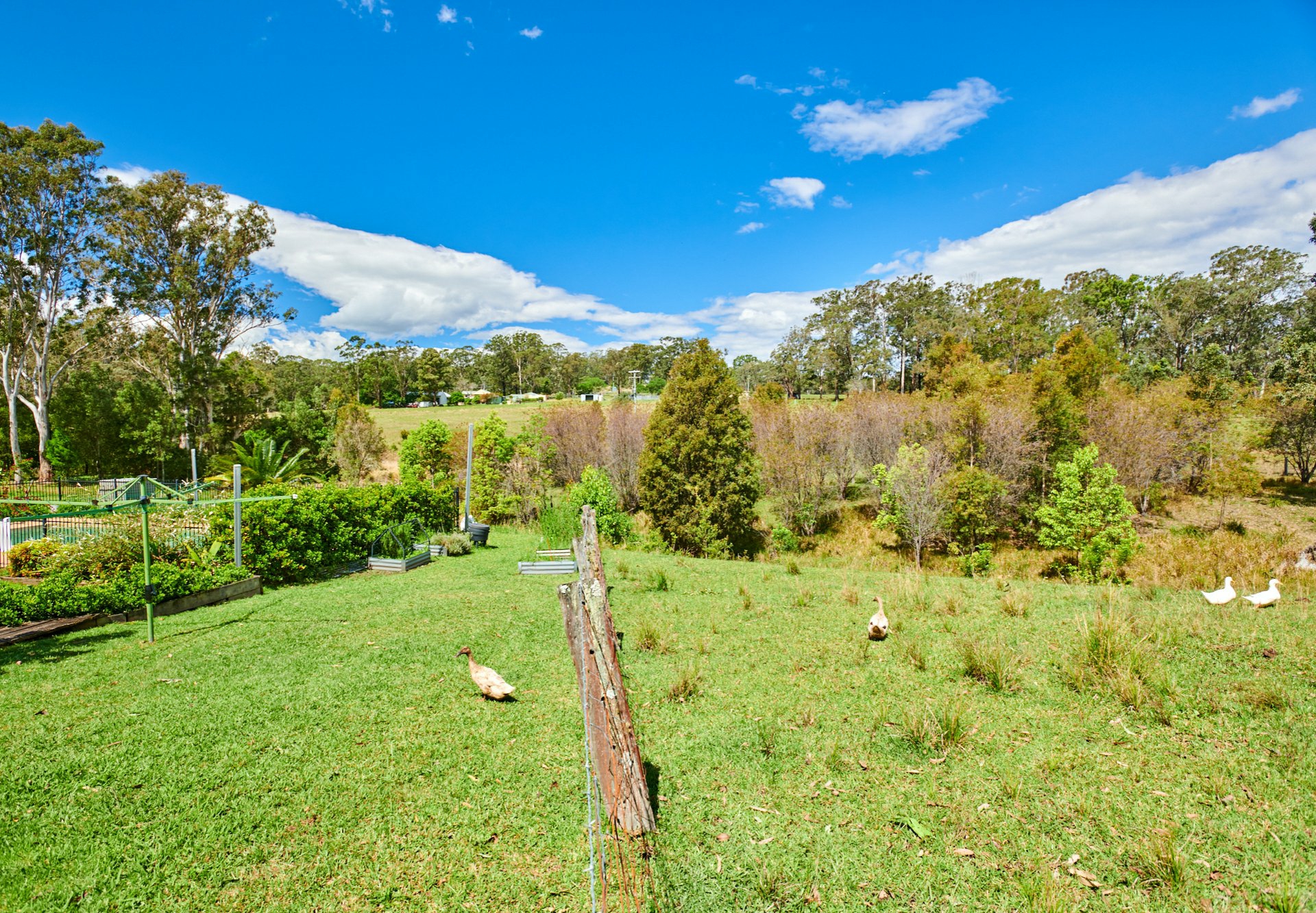 9 Wynters Road, BURRELL CREEK